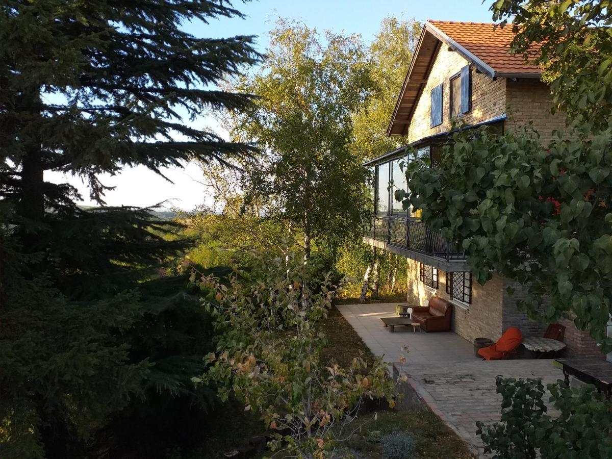 Lodging Vidmar Sremski Karlovci Extérieur photo
