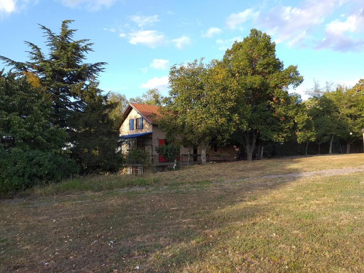 Lodging Vidmar Sremski Karlovci Extérieur photo