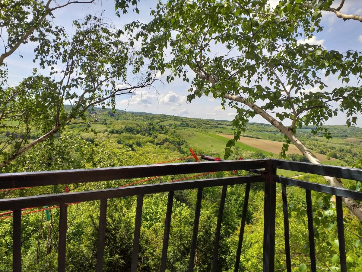 Lodging Vidmar Sremski Karlovci Extérieur photo