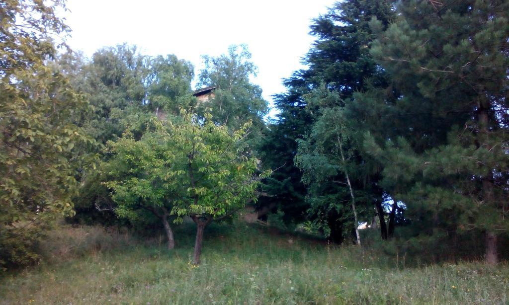 Lodging Vidmar Sremski Karlovci Chambre photo