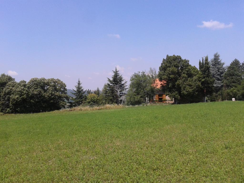 Lodging Vidmar Sremski Karlovci Chambre photo