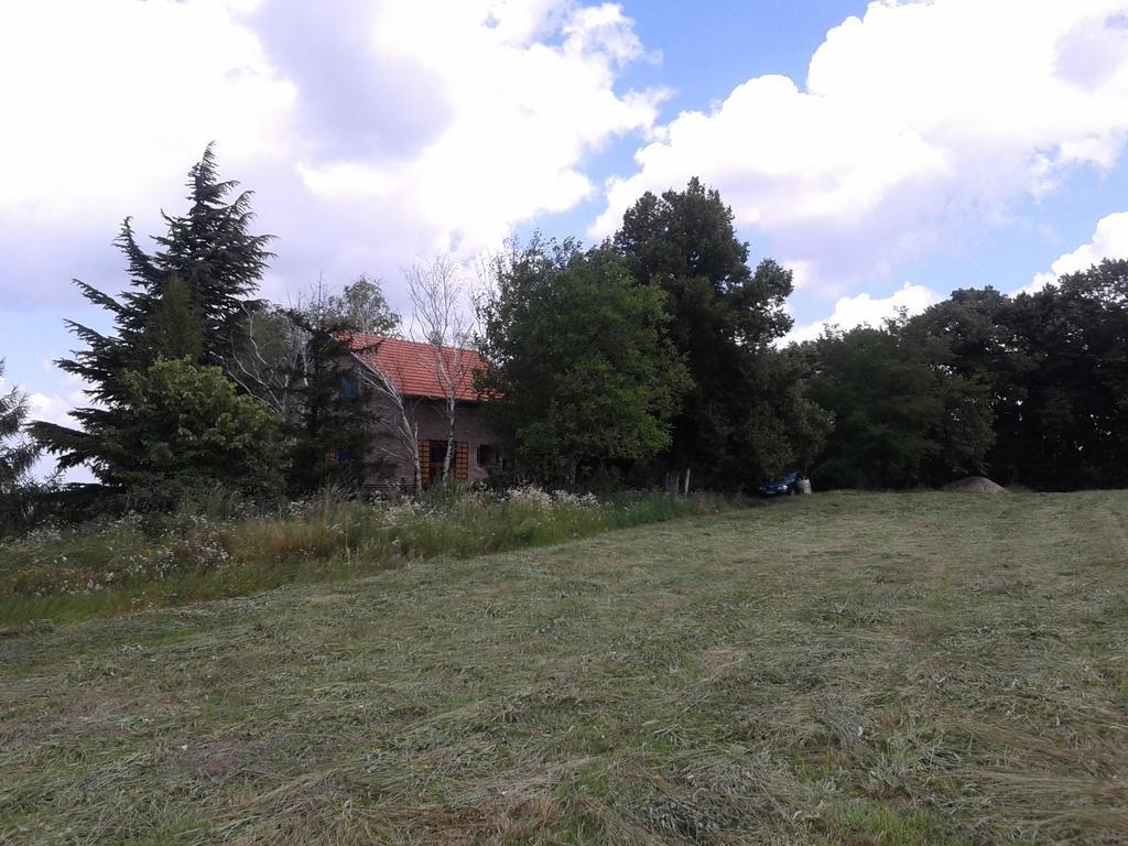 Lodging Vidmar Sremski Karlovci Extérieur photo