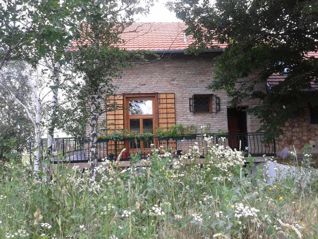 Lodging Vidmar Sremski Karlovci Extérieur photo