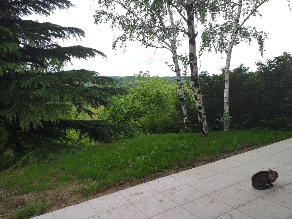 Lodging Vidmar Sremski Karlovci Extérieur photo